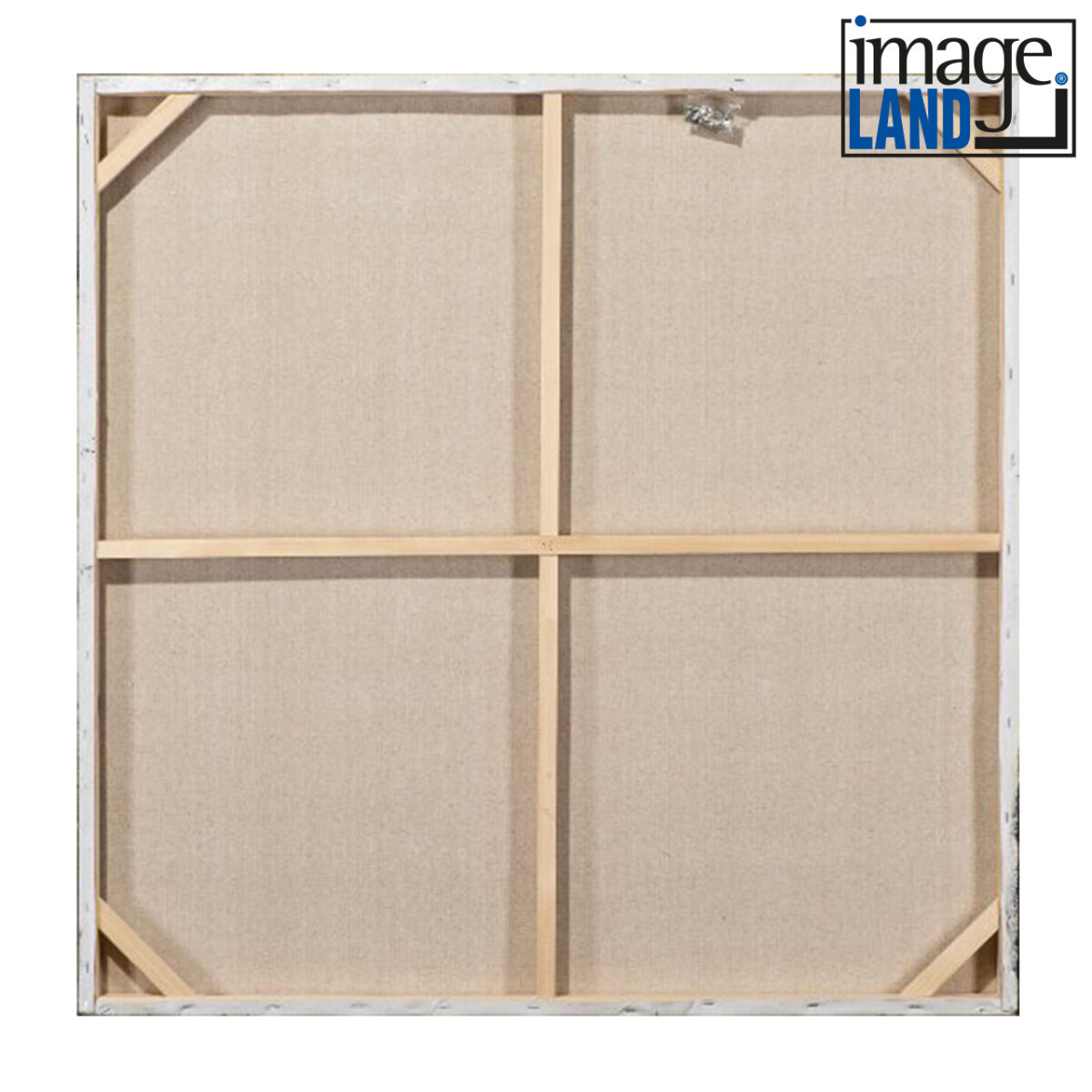 Imageland Bild Harmonische Kreise in Terracotta