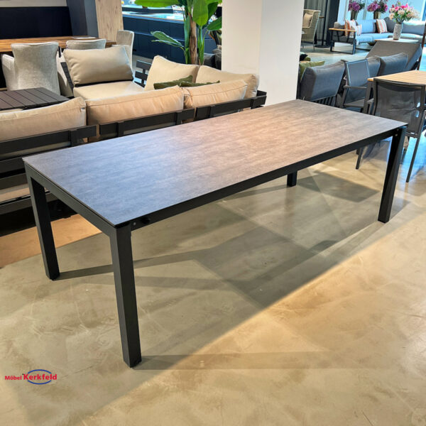 Zebra-Tisch-Ohio-3459