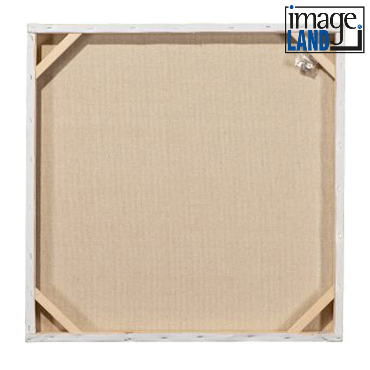 Imageland Bild Modenschau mit gold und silber