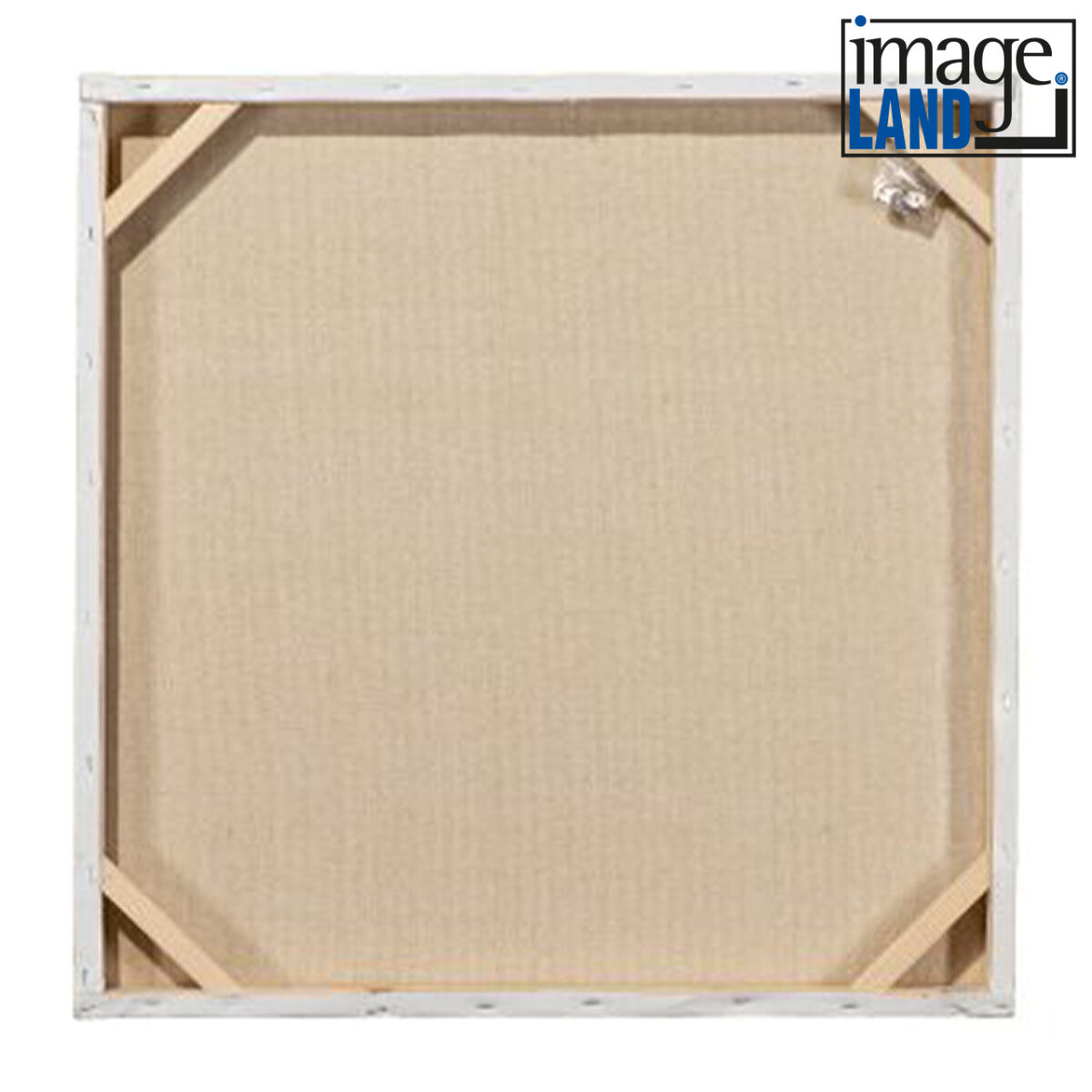 Imageland Bild Modenschau mit gold und silber