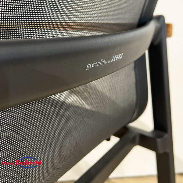 Zebra-Sessel-Enox-7336_Rücken_Detail